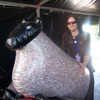 Backstage at Hyde Park